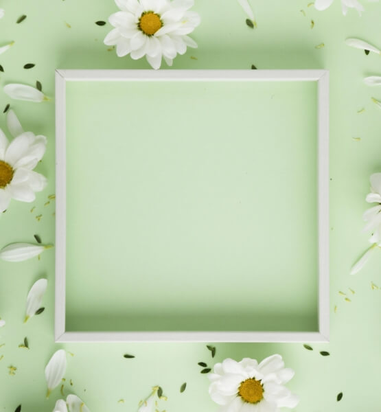 A white frame surrounded by daisies on a pale background